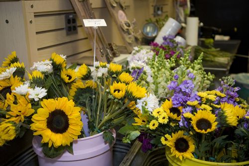 The image is of beautiful sunflowers from the Flint farmer market. 