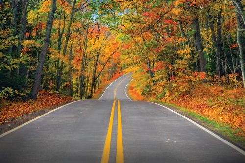 The image is of a winding road in Keweenaw Peninsula. A beautiful array of autumn trees with colors of red, green, orange, and yellow.