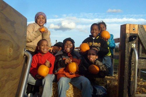 The image is of a group of children holding small orange pumpkins at Montrose Orchards. 