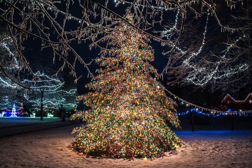 Image of Flint Genesee crossroads village decorated for Christmas. The tree is filled with beautiful multi-colored lights shown at night.